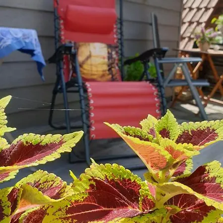 Tinyhaus Wolkenlos Familie Hamdorf Apartament *