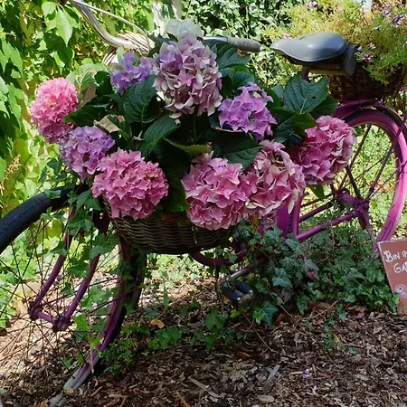 Tinyhaus Wolkenlos Familie Hamdorf Daire Bad Sulza