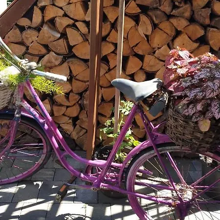 Tinyhaus Wolkenlos Familie Hamdorf Apartmán Bad Sulza