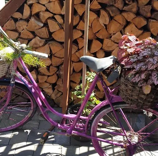 Tinyhaus Wolkenlos Familie Hamdorf Appartement Bad Sulza