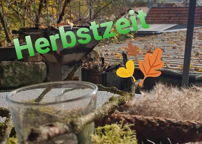 Tinyhaus Wolkenlos Familie Hamdorf Bad Sulza