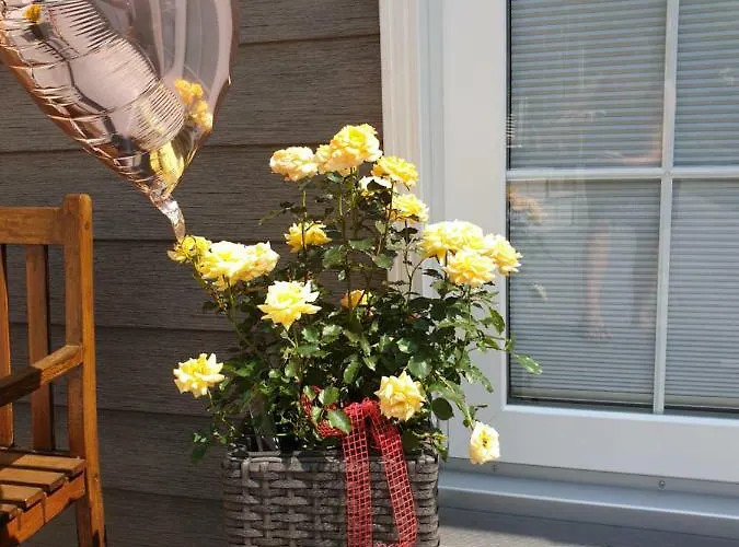 Appartement Tinyhaus Wolkenlos Familie Hamdorf